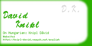 david knipl business card
